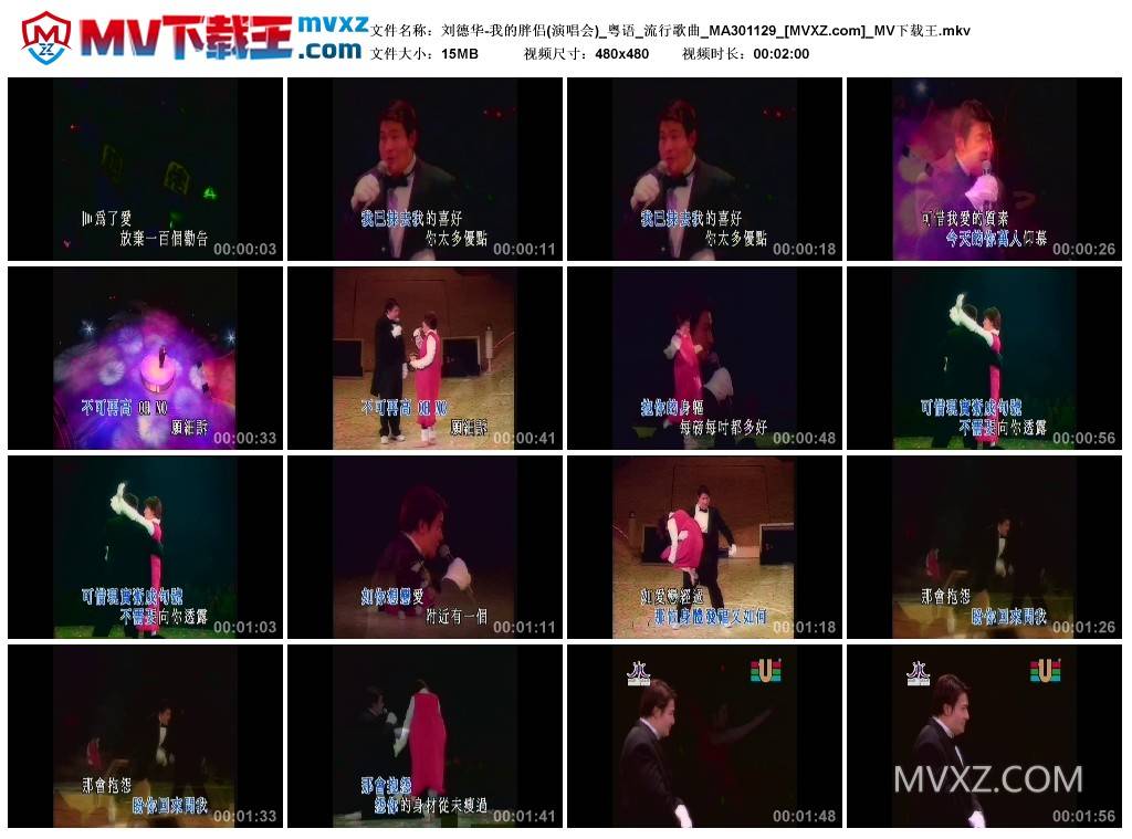 刘德华-我的胖侣(演唱会)_粤语_流行歌曲_MA301129